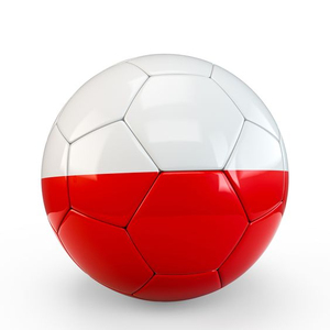 Équipement d'entraînement de football personnalisable de haute qualité, matériau personnalisé, logo personnalisé, couleur personnalisée, design personnalisé, taille personnalisée, emballage personnalisé - Product Image 4