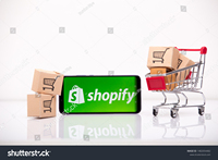 Two Dice Web Design's Shopify Ecommerce Diseño de sitios web Desarrollo India Incluye marketing digital para productos en stock Internet