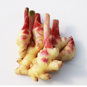 ข่าแช่แข็งสดเพื่อการส่งออกที่มีคุณภาพสูงในราคาที่แข่งขันได้ทำในเวียดนาม - Product Image 4