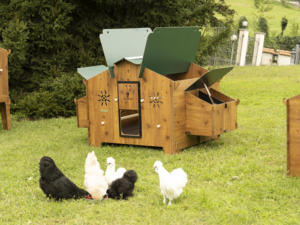 Fabriqué en Italie, haute qualité, stratifié HPL, résistant aux intempéries, super grand poulailler extérieur - Product Image 3