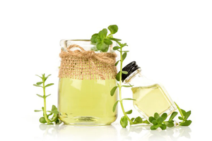 Huile de Brahmi 100% naturelle de qualité pharmaceutique disponible au meilleur prix et à des prix compétitifs taille du paquet 25kgs 180kgs - Product Image 2