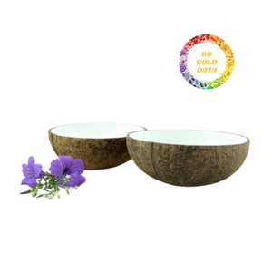 Cuenco de cáscara de coco Natural de Vietnam, cuenco de coco hecho a mano ecológico, fabricante profesional - Product Image 6