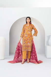 Shalwar Kameez de Invierno para Mujer de Alta Calidad, Estilo Pakistaní, Calidad de Exportación, Precio al por Mayor - Product Image 2