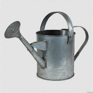 Elegante lata de hierro galvanizado con mango de bucle rústico y vertido suave para esquinas de jardín interior - Product Image 2