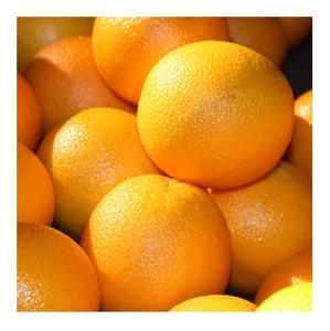 Naranjas Navel Frescas Orgánicas de Grado A, Origen Portugal, de un Proveedor Mayorista de Confianza - Product Image 3