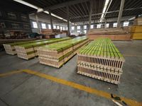 Poutre en bois H20 industrielle étanche pour système de coffrage, haute résistance et réutilisable
