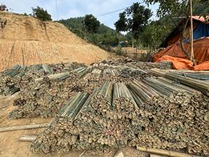 Poteau en bambou à fente très vendu pour les projets de construction de structures de soutien, les ateliers de bricolage et la mise en place de cadres au Vietnam - Product Image 4