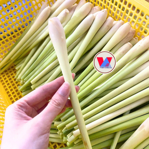 Tiges de citronnelle fraîches et aromatiques de qualité vietnamienne pour la production culinaire - Product Image 1