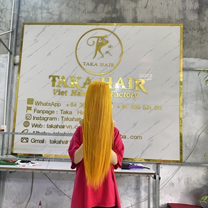 Perruque vietnamienne HD Closure ultra-lisse couleur claire, 100% cheveux humains vierges bruts d'un seul donneur, Super Double Drawn, de luxe - Product Image 3