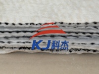 Filet de drainage géocomposite efficace, géogrille, géomatte pour le drainage des sous-sols de voies ferrées et des tunnels