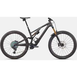 Specialized S-Works Stumpjumper EVO 2024 - Product Image 1