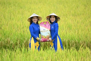 Nhập khẩu gạo từ Việt Nam sang Ả Rập Xê Út |   Gạo Ả Rập Xê Út ở Châu Á: Gạo Nhật Bản, Gạo Jasmine, Gạo hạt dài 5% |   OO84825431311 - Product Image 5