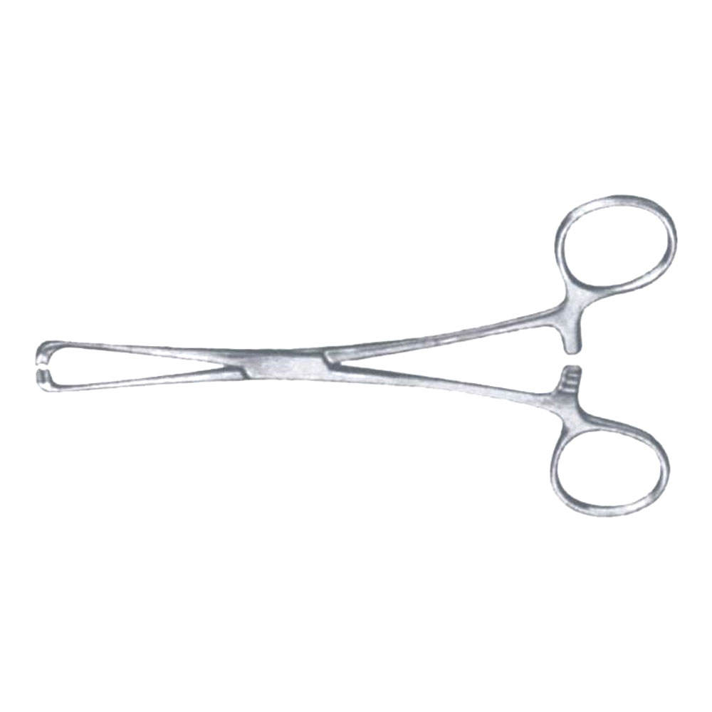 คีมยึดเส้นเอ็นกระดูกและกล้ามเนื้อ