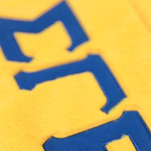 Sigma Gamma Rho SGRho Sorority Fur Tote Bag Gold con letras bordadas en azul real Bolso de felpa Greek Life Sorority Gift - Product Image 3