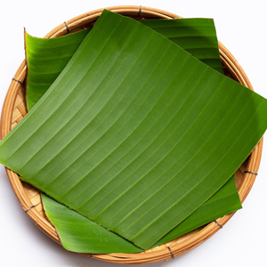 Hojas de Plátano de Grado Alimenticio para Cocinar y Catering - Product Image 4