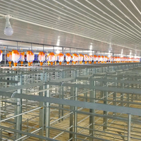 Porc enceinte cochonné cochonnée cochonnée cochonnée Conception à 2 portes galvanisée à chaud comprenant une goulotte d'alimentation et du carton Fabriqué au Vietnam