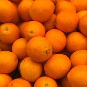 ส้มหวานฉ่ำขายส่งจำนวนมากส้มสดออร์แกนิค - Product Image 2