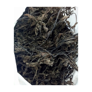 Mesona chinensis séché du Vietnam utilisé pour l'herbe gelée feuille d'herbe noire ingrédient naturel rafraîchissant à base de plantes emballé en vrac - Product Image 6