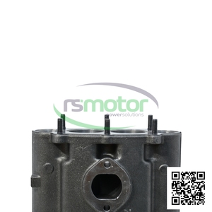 Tubo de escape OEM MWM RS-12278859 para motor - Product Image 5
