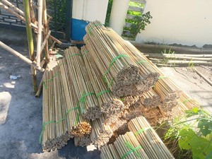 Tubes en bambou naturel, article populaire, exportateur de confiance offrant un diamètre uniforme, une finition naturelle et une production en vrac fiable - Product Image 2