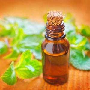 Isopulegol pur en vrac vente en gros Menthol organique naturel arôme et parfum intermédiaire matière première pour cosmétiques, aliments et arômes - Product Image 2