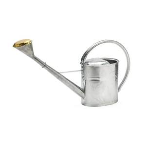 Bidon d'eau en métal antique de conception ergonomique pour les amateurs de jardin avec une grande capacité et un long bec d'écoulement d'eau - Product Image 1