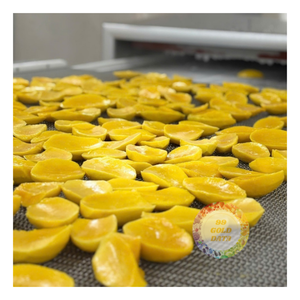 มะม่วงหั่นแช่แข็งคุณภาพพรีเมียมจากเวียดนาม 100% ธรรมชาติ พร้อมน้ำในตัว บรรจุภัณฑ์สุญญากาศแบบขายส่งสำหรับการจัดจำหน่ายทั่วโลก - Product Image 1