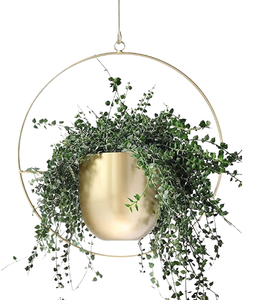 Macetas de Metal minimalistas de Metal de alta calidad, venta personalizada, maceta colgante decorativa para exteriores con acabado plateado, decoración de plantas verdes - Product Image 5