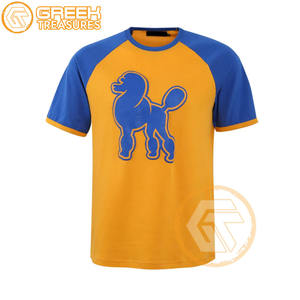 Sigma Gamma Rho T-shirt pour femme sur mesure Vêtements de sororité Jersey de coton T-shirt respirant de haute qualité Vêtements grecs pour femme - Product Image 3