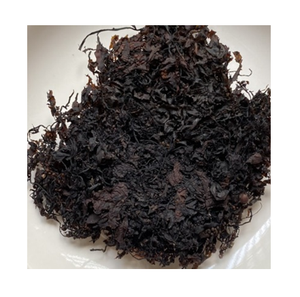 สาหร่ายทะเลซาร์กาซัมตากแห้ง สาหร่ายสีน้ำตาล ขายส่งจำนวนมาก ผู้ส่งออกจากเวียดนาม - Product Image 1