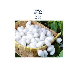 หนอนรังไหม - Product Image 2