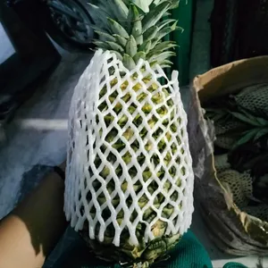 Nanas emas dengan harga kompetitif nanas Harga murah dari VietNam Ananas buah untuk ekspor