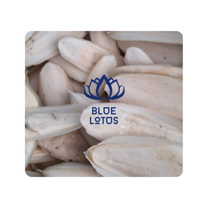 Os de seiche de haute qualité pour la croissance des coquilles d'escargot et source de calcium organique pure pour un environnement de terrarium durable - Product Image 1