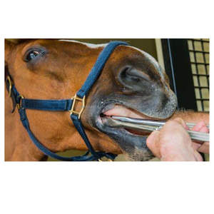 คีมตัดสำหรับใช้ในช่องปากเครื่องมือทางทันตกรรม - Product Image 3