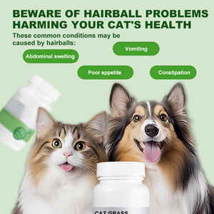 कम थोक बिल्ली बाल नियंत्रण गोलियां, बिल्ली स्वास्थ्य उत्पाद आंतों के पाचन संरक्षण पालतू पोषण पूरक - Product Image 2