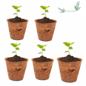 Quality Eco-Friendly Coconut Coir Fiber Flower Pots Biodegradable Home & <b>Garden</b> Use Vietnam Made High Quality Price - Product Image 1