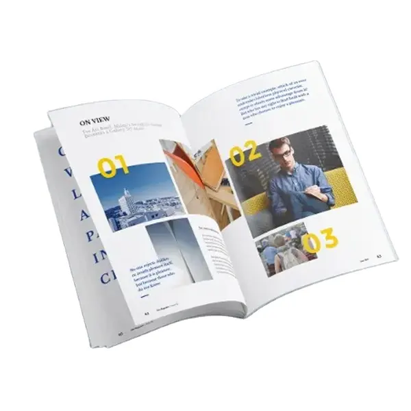 Gedruckter Werbe flyer/Faltblatt/Katalog/Broschüre Drucken, Günstiger Broschüren drucks ervice