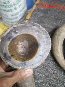 เขาดิบธรรมชาติควาย - Product Image 2