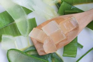 Deliciosa Gelatina de Aloe Vera, Gelatina de Pulpa de Aloe Vera Hecha con 100% Pulpa de Aloe Vera FRESCA, Precio al por Mayor - Product Image 4