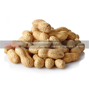 <strong>Peanut</strong> From Vietnam Is Manufactured in Hight Quality and Supervised by Enclosed Process, Ensure Correct Model - Product Image 3