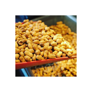 Proveedor al por mayor de existencias frescas a granel de cacahuetes crudos secos/cacahuetes con cáscara - Product Image 2