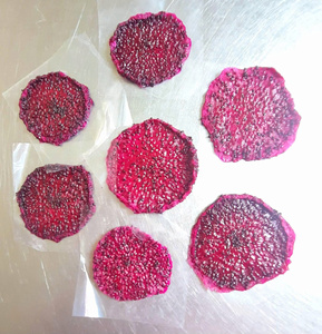 พิทยาอบแห้งที่มีสารอาหารหนาแน่น: 100% ธรรมชาติไม่หวานปริมาณสินค้าจำนวนมากสำหรับอุตสาหกรรมสุขภาพและสุขภาพ - Product Image 5