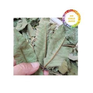 Té de Hoja de Guayaba Producido en Vietnam con Origen Directo de la Granja, Garantizando Material Botánico Seco y Limpio, Ideal para los Requisitos del Comprador - Product Image 2