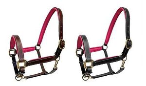 เชือกคล้องคอหนังทำมือคุณภาพสูงสีเงินชุดหนังหลากสี headstall สำหรับโชว์ - Product Image 3