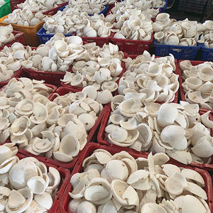 Sac de crème de noix de coco congelée d'usine du Vietnam 5kg pour la transformation des aliments parfaite pour la garniture de confiserie de biscuits de pâtisserie de boulangerie - Product Image 1