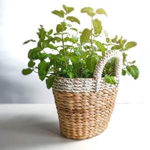 Pot de plante en jacinthe d'eau fait à la main pour l'intérieur et l'extérieur, jardin, salon, balcon, moderne et élégant - Product Image 5