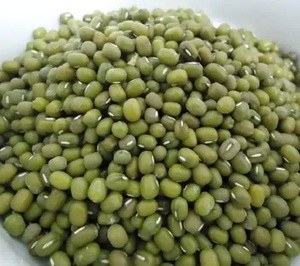 Frijoles Vigna Verdes Frescos y Secos, Frijoles Mung, Granos Enteros para Procesamiento de Alimentos y Cocina - Product Image 2