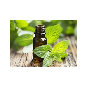 100% aceite esencial de menta verde puro aceite portador aromático natural para cosméticos para el cuidado de la piel y fragancias - Product Image 1