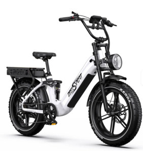 NUEVO Bicicleta Eléctrica de Carga con Llantas Gruesas, 48V 750W, Batería de Litio, Acero Aleado, 7 Velocidades, en Oferta - Product Image 5
