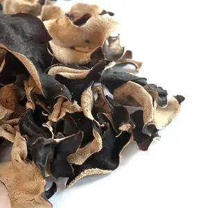 从越南出口大量价格最低的木耳蘑菇